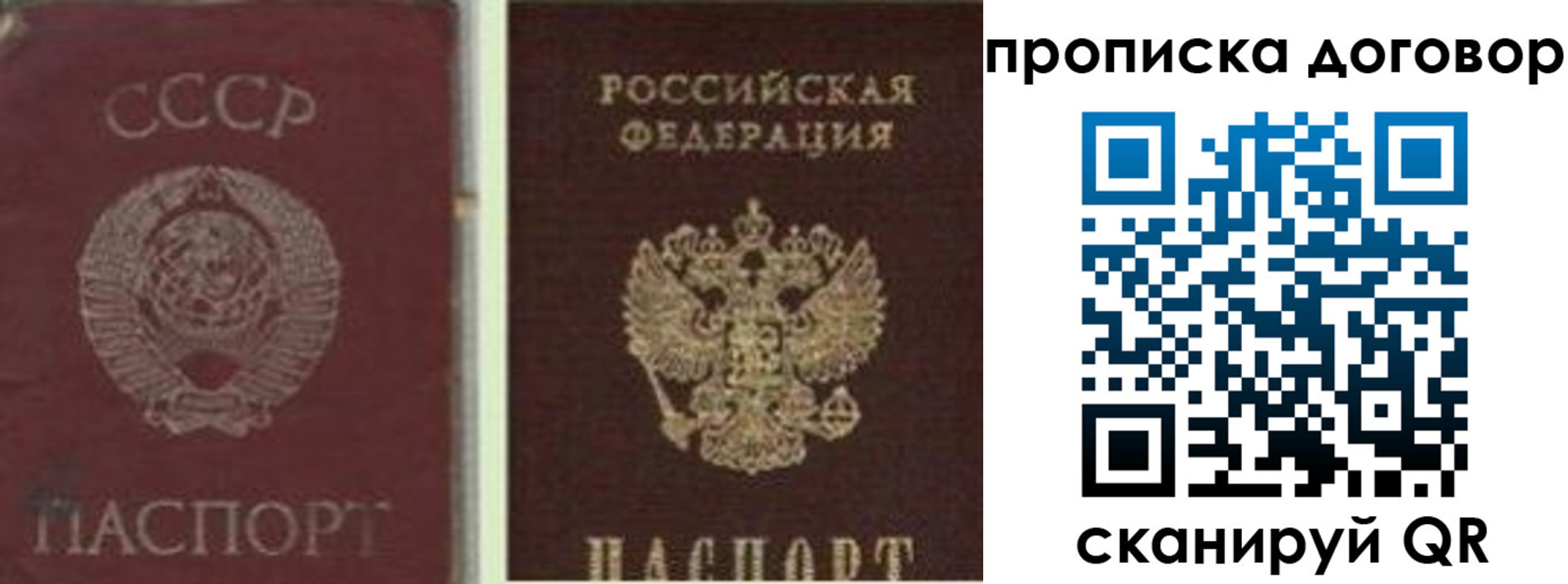 прописка гарантия в Медногорске